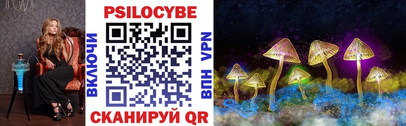 Галлюциногенные грибы Psilocybe  Белово 